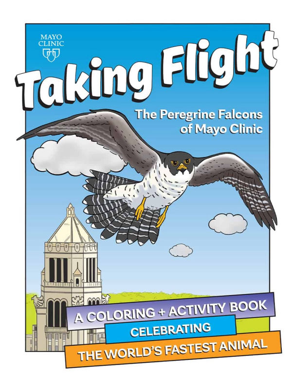 Illustrated book cover titled “Taking Flight: The Peregrine Falcons of Mayo Clinic” showing a peregrine falcon flying over a Mayo Clinic tower with clouds and sky, and a banner reading “A Coloring + Activity Book Celebrating the World’s Fastest Animal.”